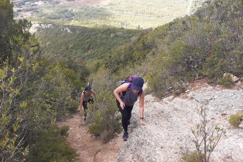 Desde Sesimbra: tour de senderismo por la montaña de Arrábida