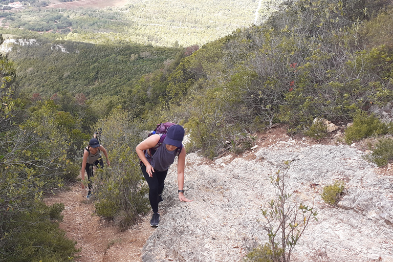 Desde Sesimbra: tour de senderismo por la montaña de Arrábida