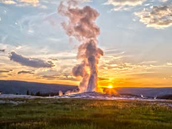 Jackson: Yellowstone Old Faithful, Lower Loop & Tierwelt. Foto: GetYourGuide Jackson: Yellowstone Old Faithful, Lower Loop & Tierwelt. Foto: GetYourGuide