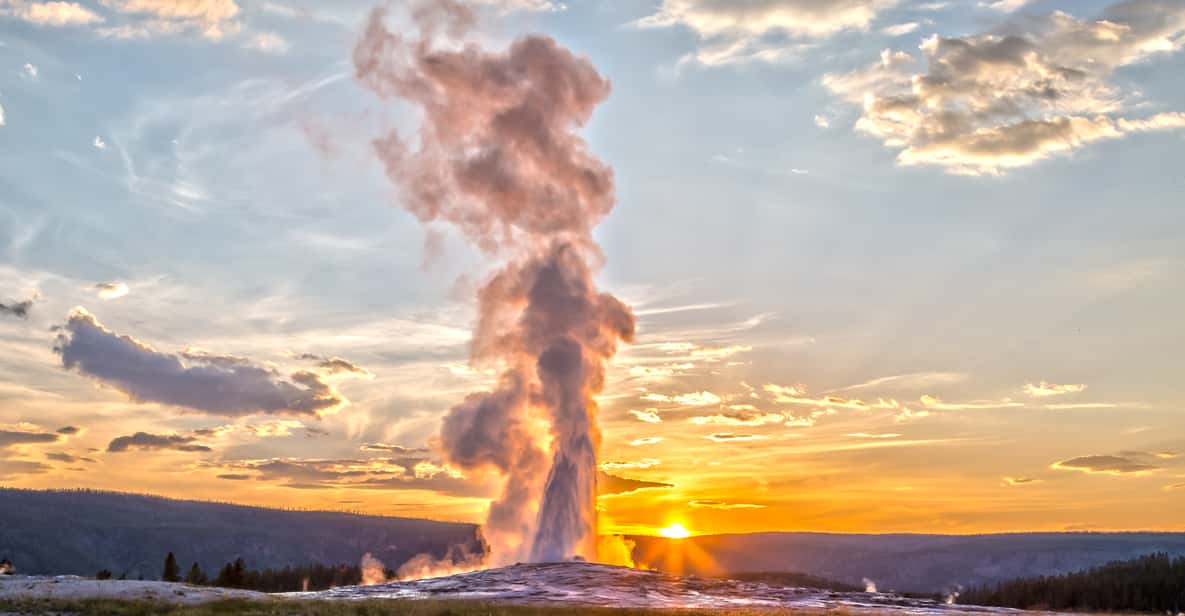 Jackson Yellowstone Old Faithful, Lower Loop & Tierwelt GetYourGuide