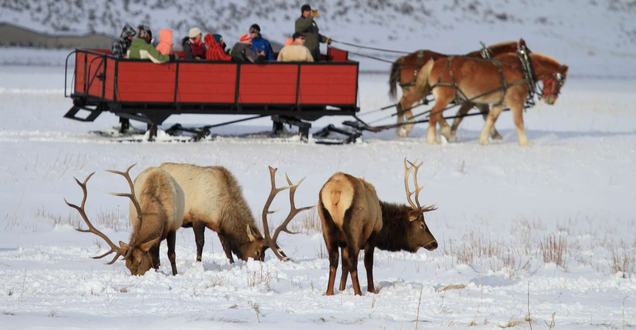 National Elk Refuge Hanging Sign And Stone Structure In Grand Teton National Park Stock Photo - Foto 2