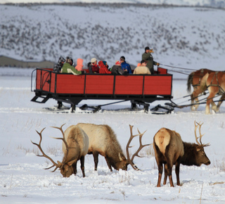 Jackson (Wyoming): Monuments et attractions