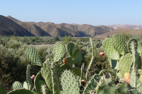 Agadir/Taghazout: Paradise Valley Half-Day Tour with Lunch Tour Without Lunch