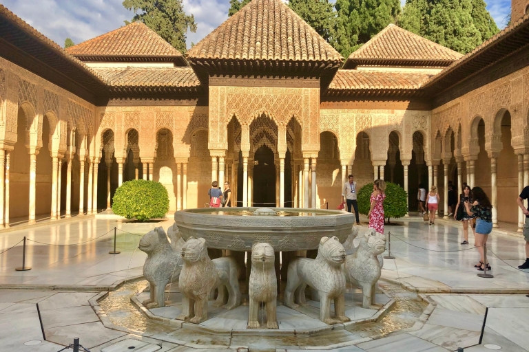 Alhambra: tour guiado con acceso prioritarioTour con punto de encuentro