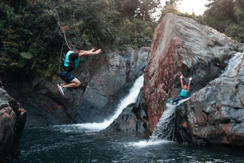 Puerto Rico: El Yunque Rainforest & Waterfalls Half-Day Tour