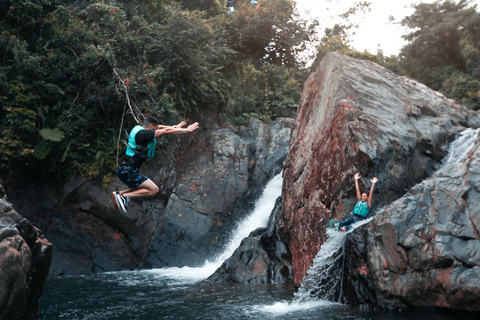 Porto Rico: visite d'une demi-journée de la forêt pluviale et des cascades d'El Yunque