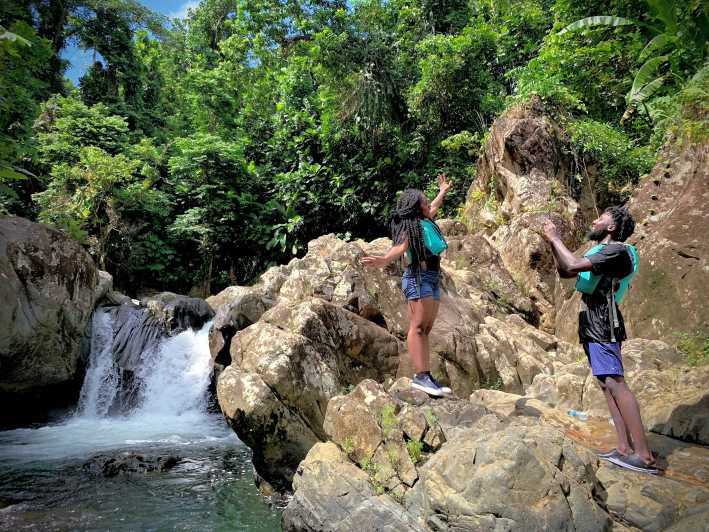 el yunque rainforest and waterfalls exclusive tour & transportation
