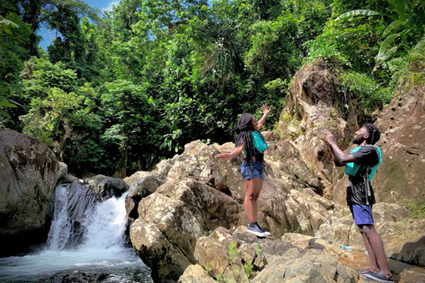 Porto Rico: visite d'une demi-journée de la forêt pluviale et des cascades d'El Yunque