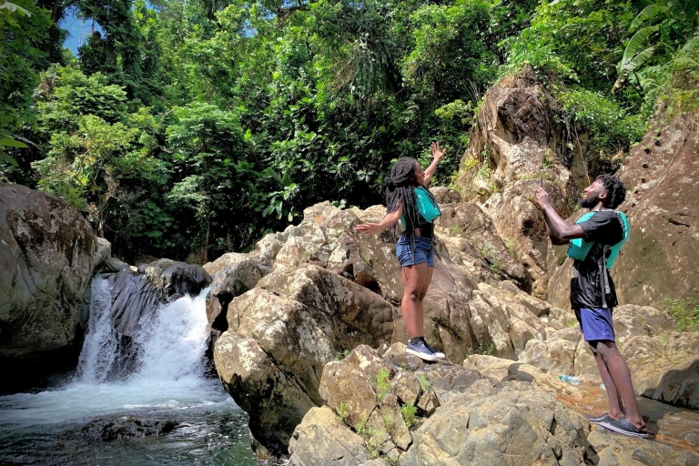 Porto Rico: visite d'une demi-journée de la forêt pluviale et des cascades d'El Yunque