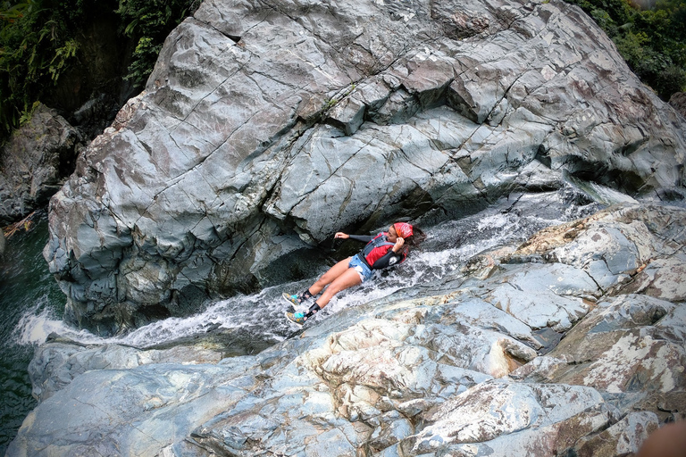 Porto Rico: visite d'une demi-journée de la forêt pluviale et des cascades d'El Yunque
