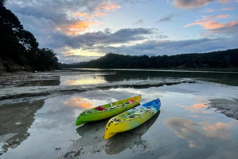 Auckland: Bioluminescence Kayak Tour with Guide