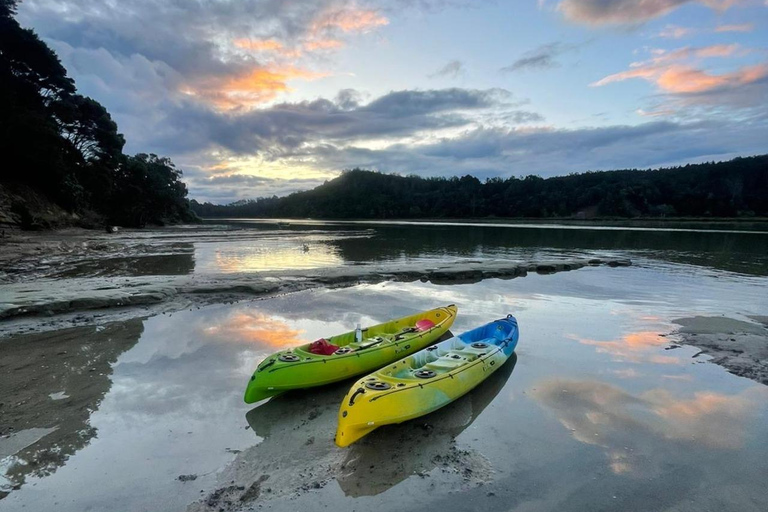 Auckland: Bioluminescence Kayak Tour with Guide