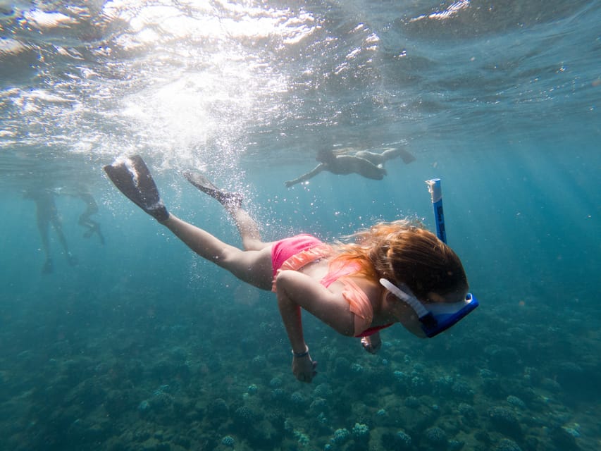 Kauai Napali Coast Sail & Snorkel Tour from Port Allen GetYourGuide