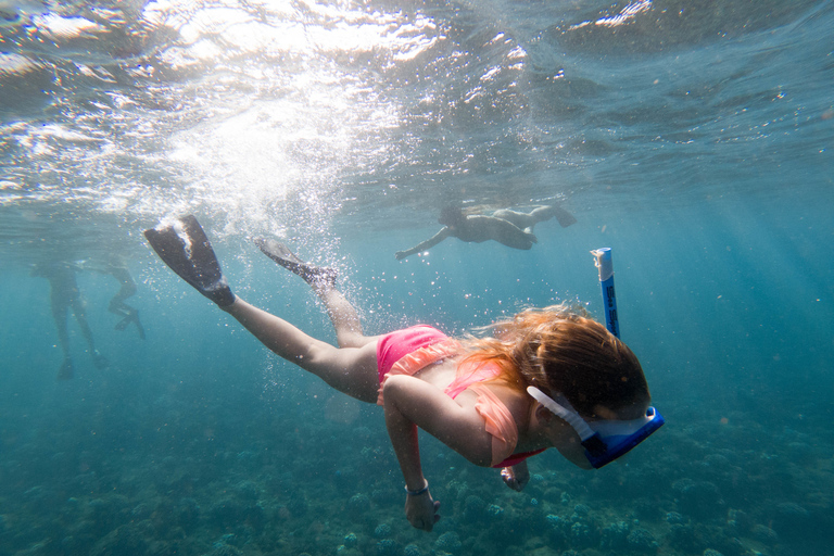 Kauai: Napali Coast Sail & Snorkel Tour from Port Allen