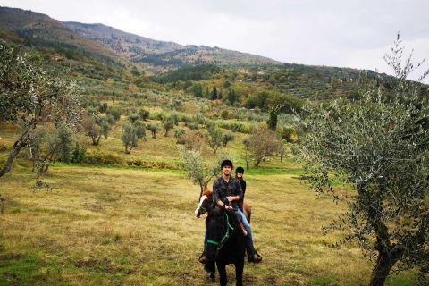 From Florence: Horseback Ride and Olive Oil Tour with Lunch