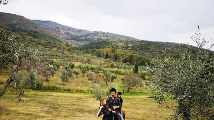 da firenze giro a cavallo e tour dellolio doliva con pranzo
