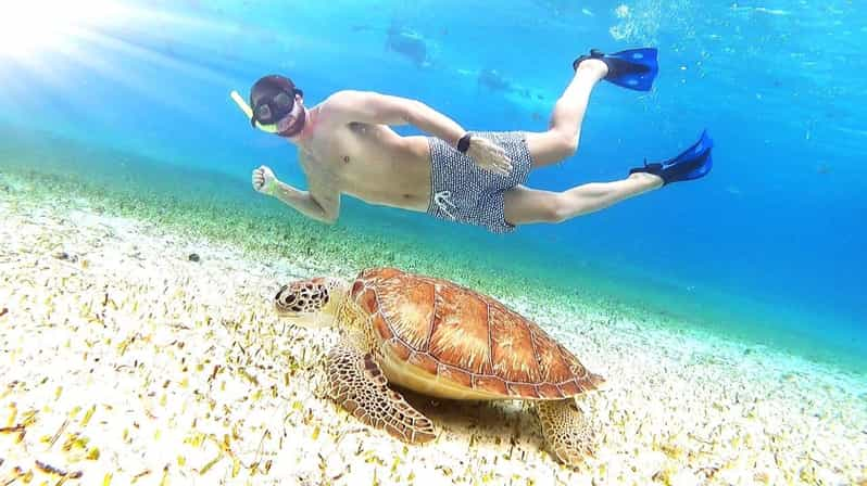 Cozumel Snorkeling tour: Palancar, Columbia and Cielo reefs | GetYourGuide