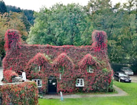 From Llandudno, Portmeirion, Snowdonia and Castles Tour - Housity