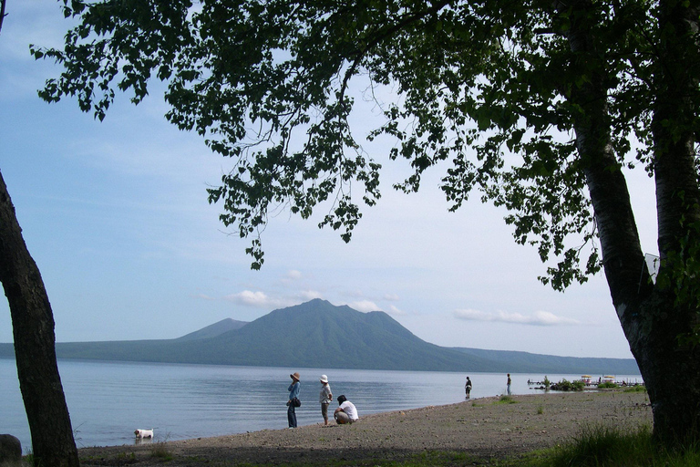 Sapporo: Noboribetsu Hell Valley, Lake Toya &amp; Shikotsu Tour8:30 Meet at Tokyo REI Hotel (without Bear Ranch Ticket)