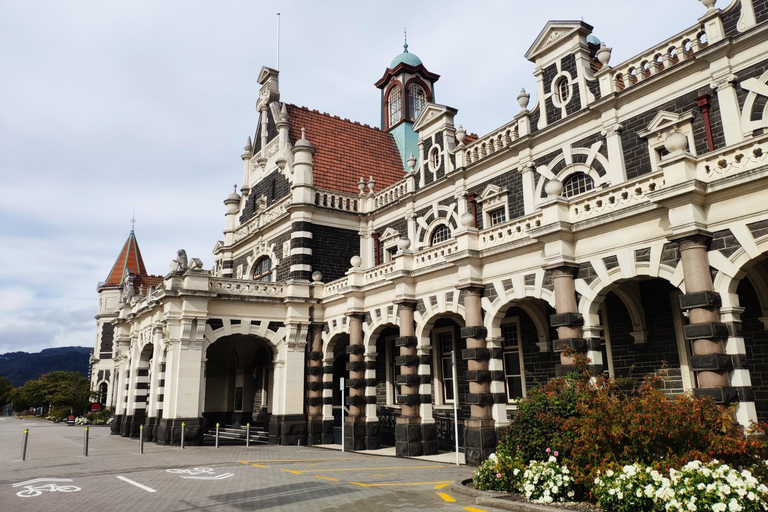 Dunedin City Highlights & Larnach Castle Tour