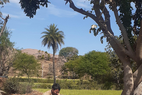 Visita guiada a la vida rural en tuk tuk.Visita guiada por la vida rural en tuk tuk