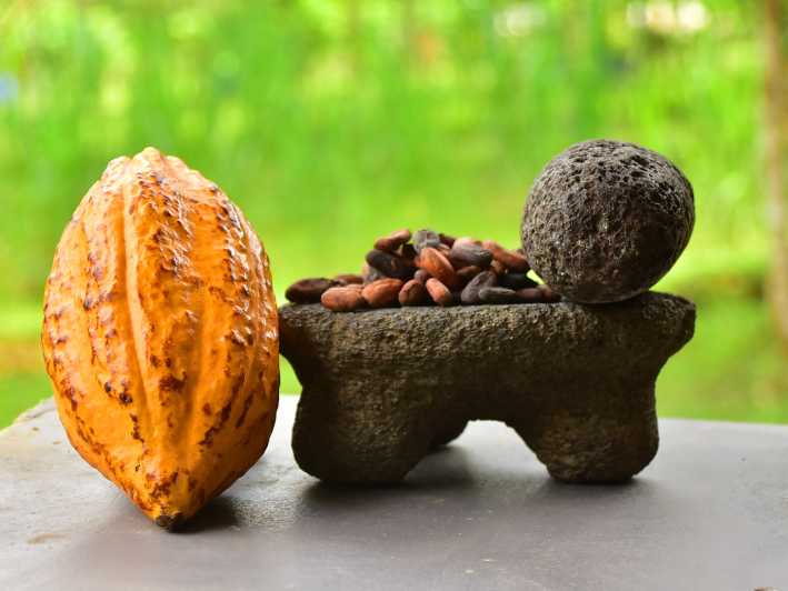 Costa Rica: 2-Hour Chocolate Experience and Plantation Tour