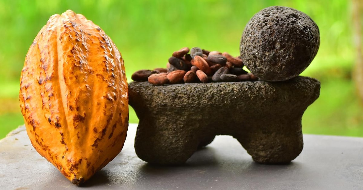 Playa Jaco experiencia de chocolate de 2 horas y visita a la