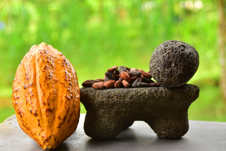 Playa Jaco: Excursión de 2 horas a la Experiencia del ChocolateOpción Estándar