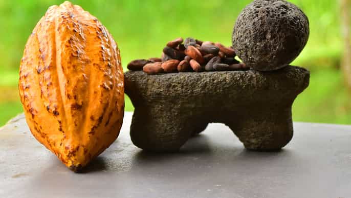 costa rica 2hour chocolate experience and plantation tour