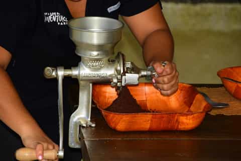 Costa Rica: 2-Hour Chocolate Experience and Plantation Tour