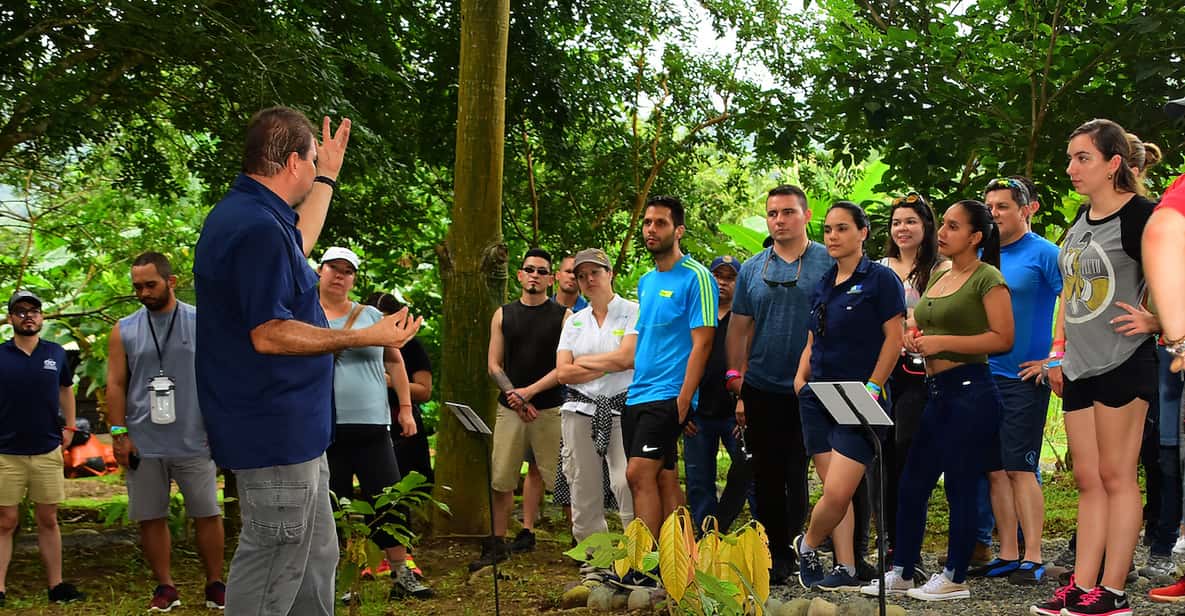 Costa Rica: 2-Hour Chocolate Experience and Plantation Tour