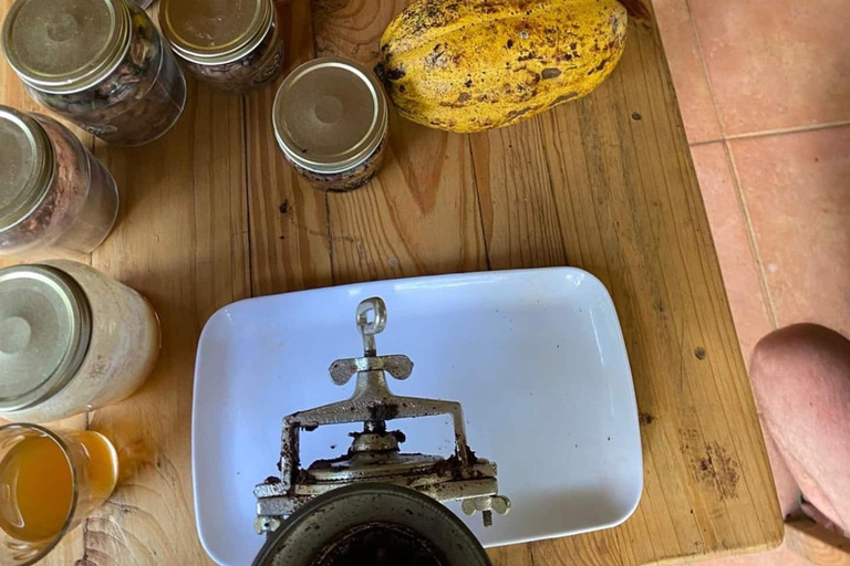 Visit an artisanal cocoa and coffee factory in Santa Marta