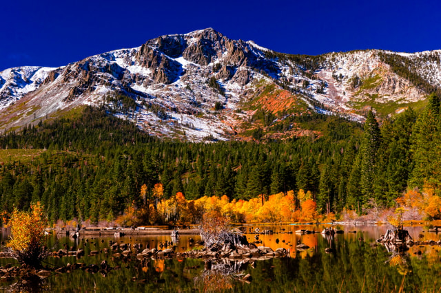 Visit Lake Tahoe Half-Day Photographic Scenic Tour in Genoa, Nevada