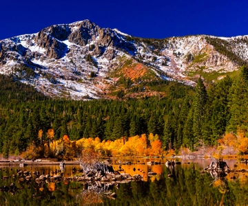 Lake Tahoe: Half-Day Photographic Scenic Tour