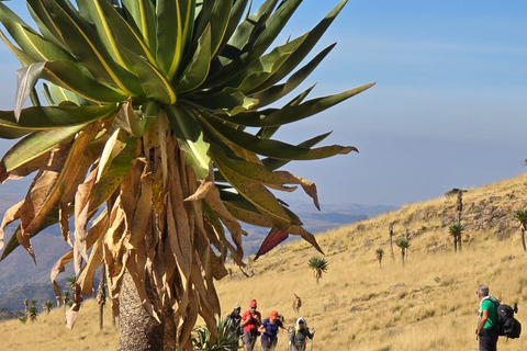Äthiopien: 29-tägige Tour durch den Norden, Osten und Süden