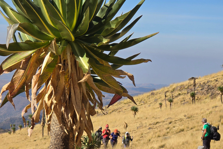 Äthiopien: 29-tägige Tour durch den Norden, Osten und Süden
