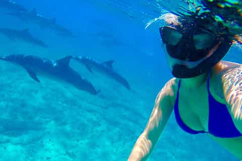 Hurghada: Dolphin-Watching Cruise with Snorkeling and Lunch