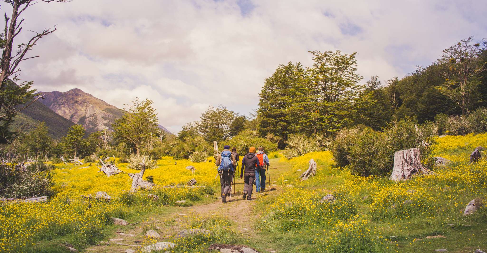 Trekking Vinciguerra Glacier et Tempanos Lagoon - Hizvo