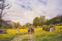 Trekking Vinciguerra Glacier et Tempanos Lagoon - Hizvo