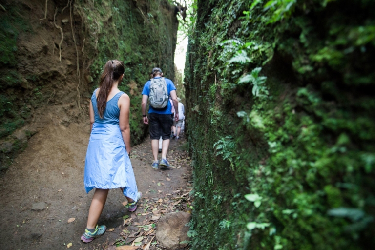 Naturreservat Mombacho und Canopy-AbenteuerMombacho Hike & Canopy Kurs: Ganztägig ab Granada