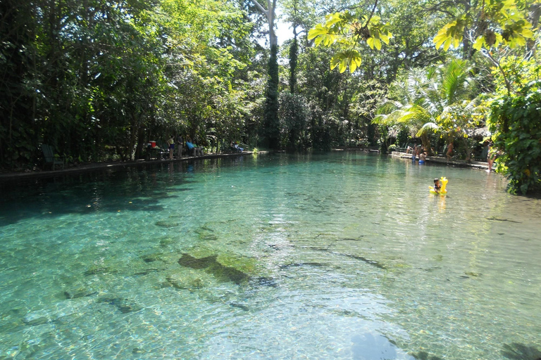Von Granada: Ganztagesausflug zur Insel Ometepe