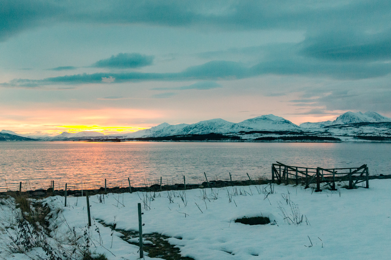 Tromsø: Recorrido fotográfico por los fiordos en minibús