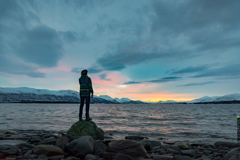 Tromsø: Recorrido fotográfico por los fiordos en minibús