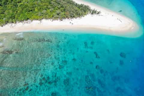 Cairns: Snorkel & Dive a Secluded Great Barrier Reef Island