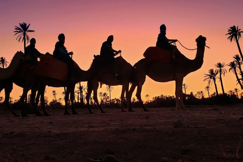 Marrakech palm grove: Sunset camel rideMarrakech Palmeraie: Sunset Camel Ride