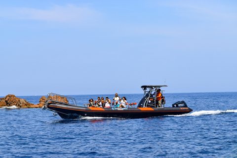 Oporto: Excursión en barco por Scandola y Calanches de Piana