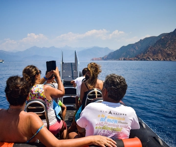 Porto: Bootsfahrt nach Scandola und Calanches de Piana