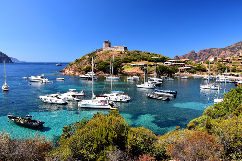 Porto: Scandola and Calanches of Piana Boat Trip