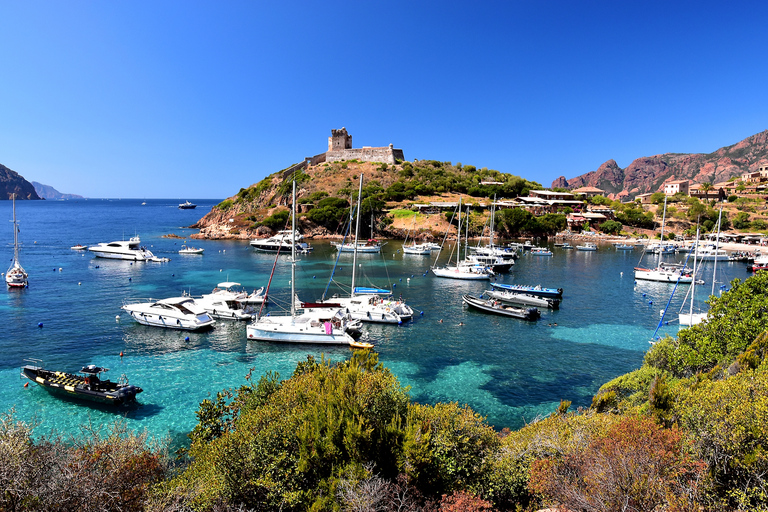 Porto: Scandola and Calanches of Piana Boat Trip