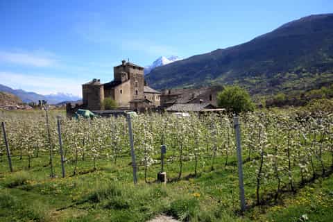 Aosta Castles Private Half Day Tour